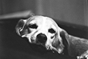 %_tempFileNameIMAG0320%