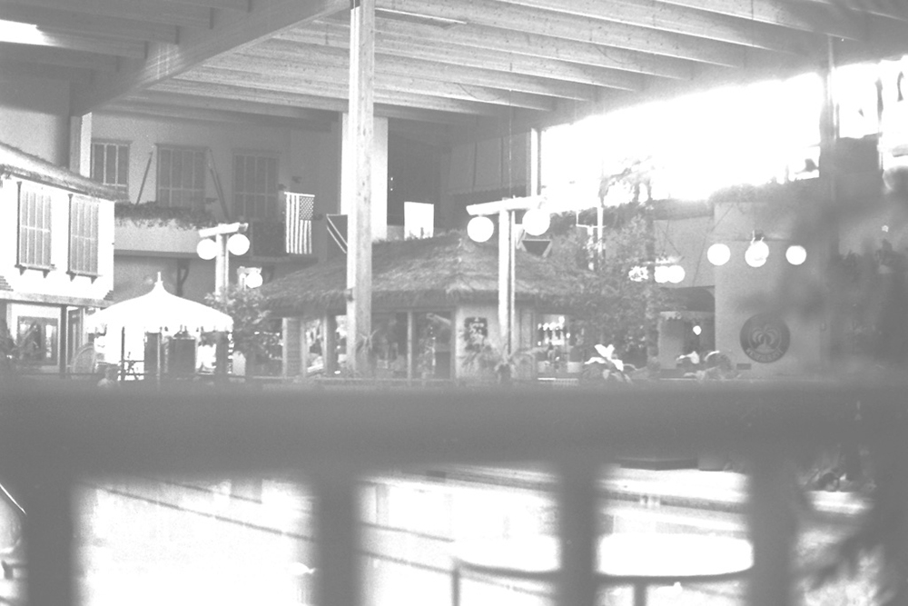 %_tempFileNameIMAG0228%