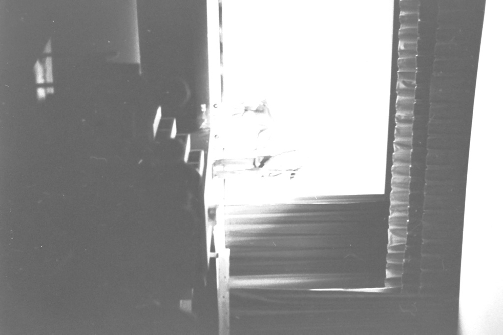 %_tempFileNameIMAG0237%