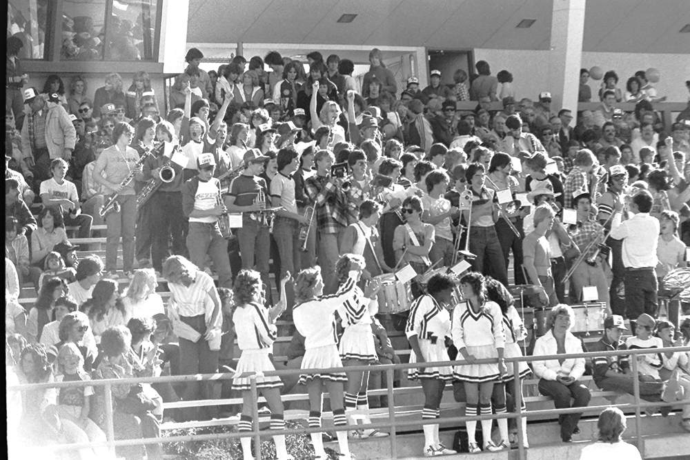 %_tempFileNameIMAG0313%