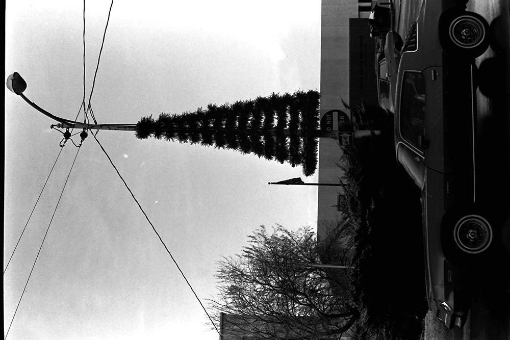 %_tempFileNameIMAG0649%