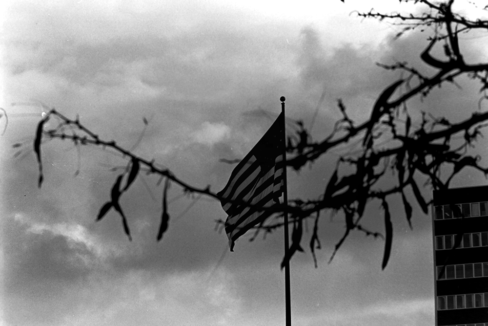 %_tempFileNameIMAG0652%