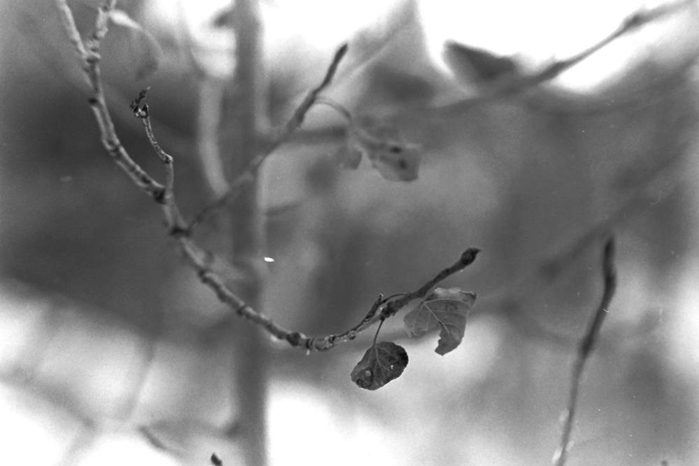 %_tempFileNameIMAG0723%