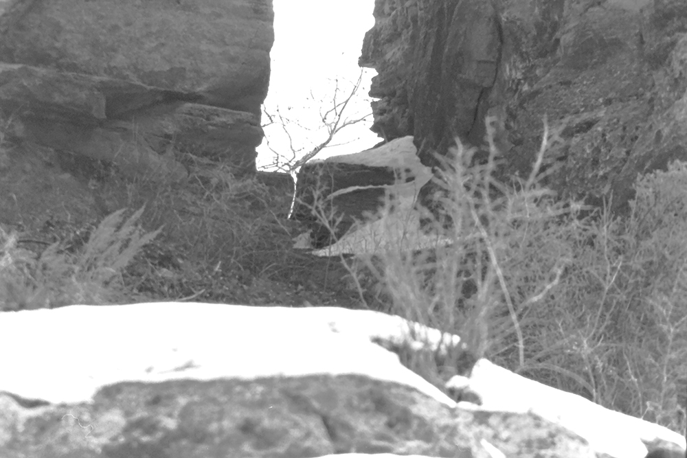 %_tempFileNameIMAG0726%