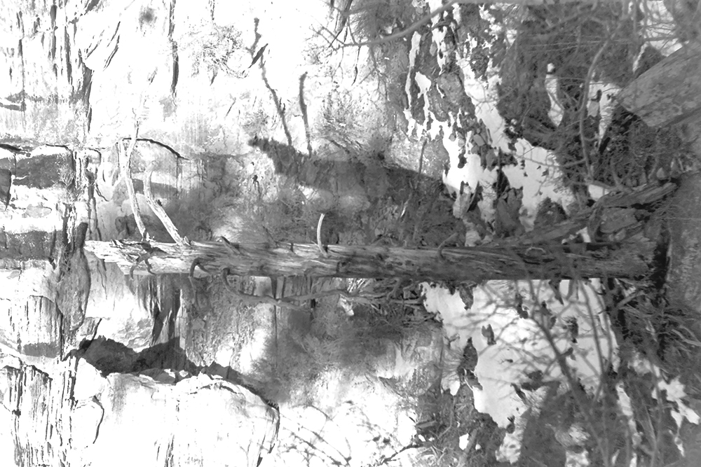 %_tempFileNameIMAG0727%