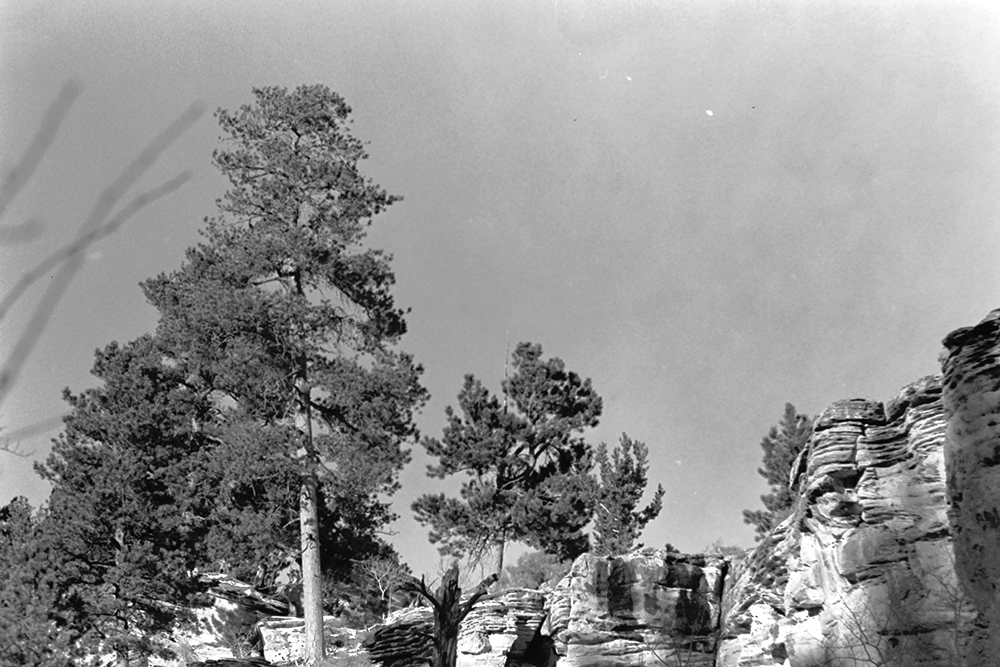 %_tempFileNameIMAG0729%