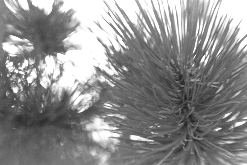 %_tempFileNameIMAG0734%