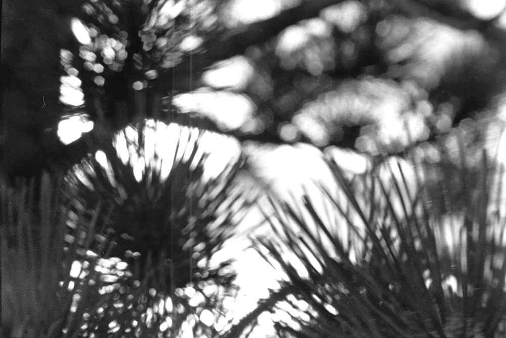 %_tempFileNameIMAG0738%