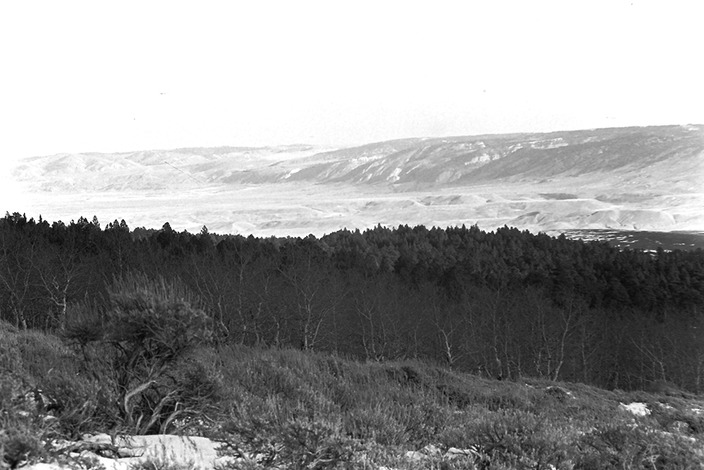 %_tempFileNameIMAG0763%