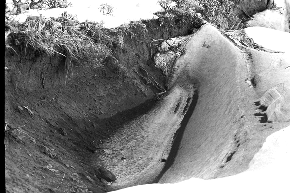 %_tempFileNameIMAG0765%