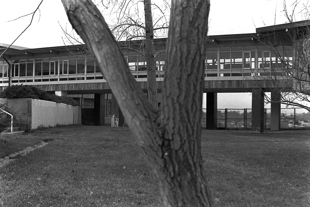 %_tempFileNameIMAG0815%