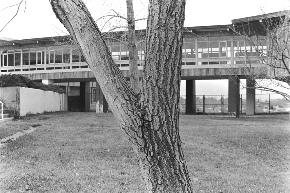 %_tempFileNameIMAG0829%