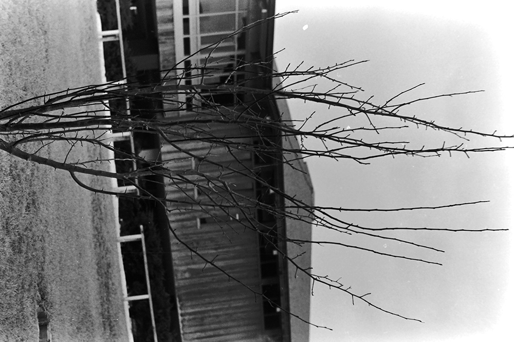 %_tempFileNameIMAG1253%