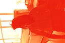 %_tempFileNameIMAG0060%