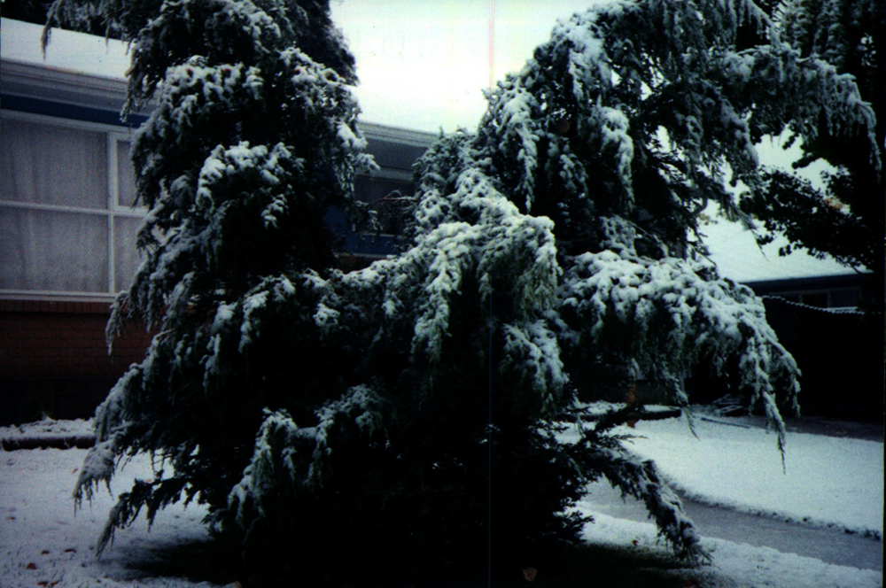 %_tempFileName2025-12-04-14-51-0014%