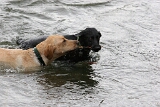 IMG_1041