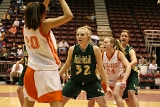 QQ7Z3973