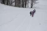 Nordic Ski, JH 064