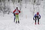 Nordic Ski, JH 113