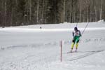 Nordic Ski, JH 318