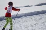 Nordic Ski, JH 333