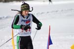 Nordic Ski, JH 384