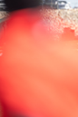 %_tempFileName1M6A8604%