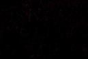 %_tempFileNameAM1I9075%