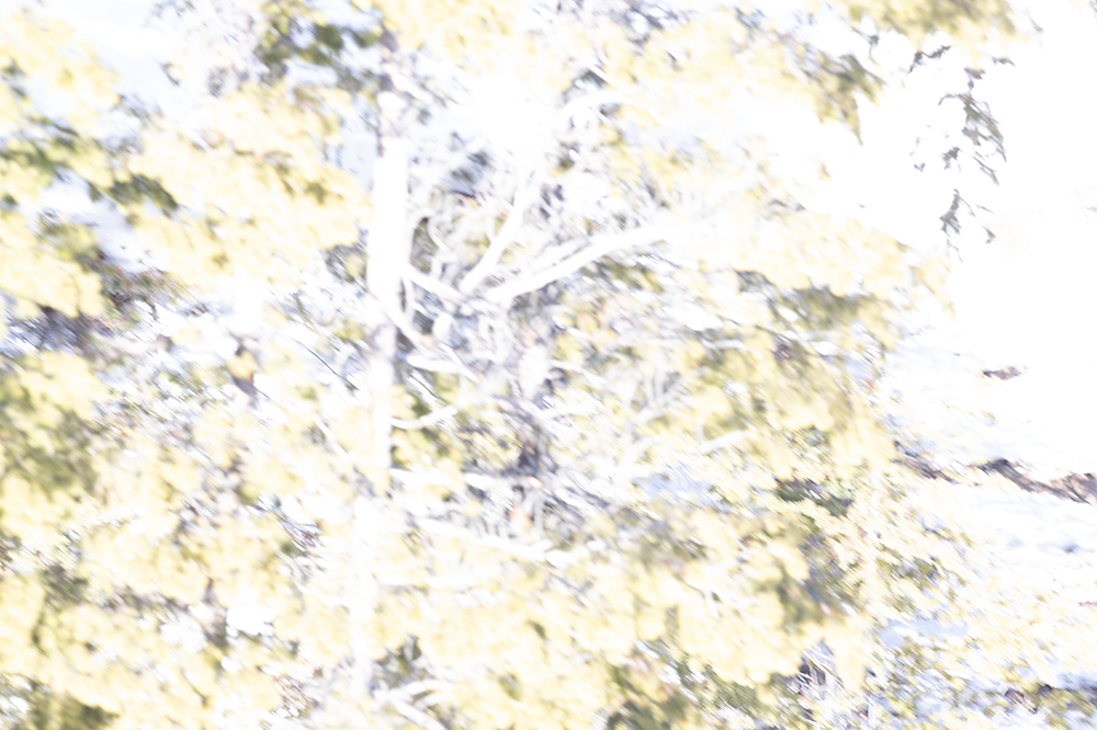 %_tempFileName1M6A4788%