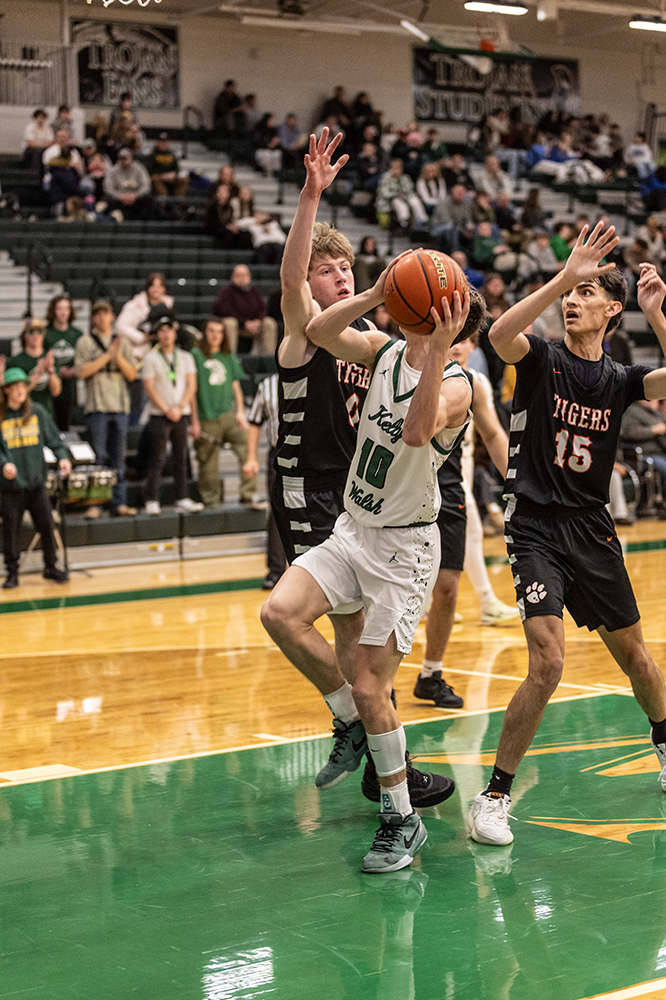 %_tempFileName1M6A3135%