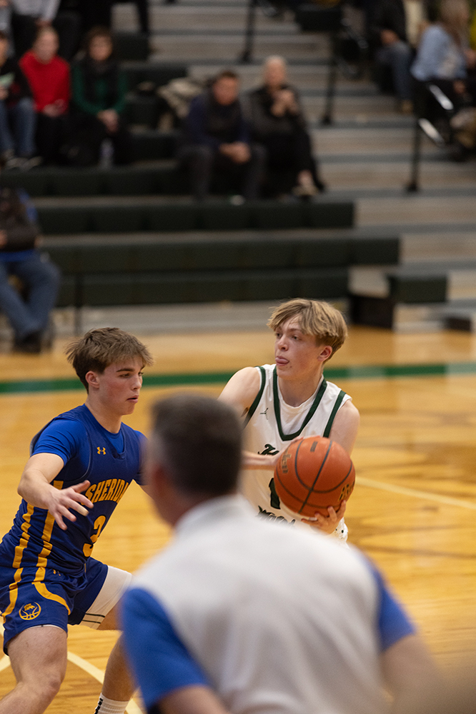 %_tempFileName1M6A6019%