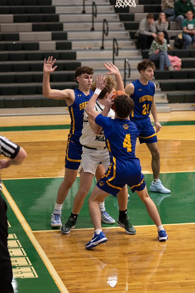 %_tempFileName1M6A6146%