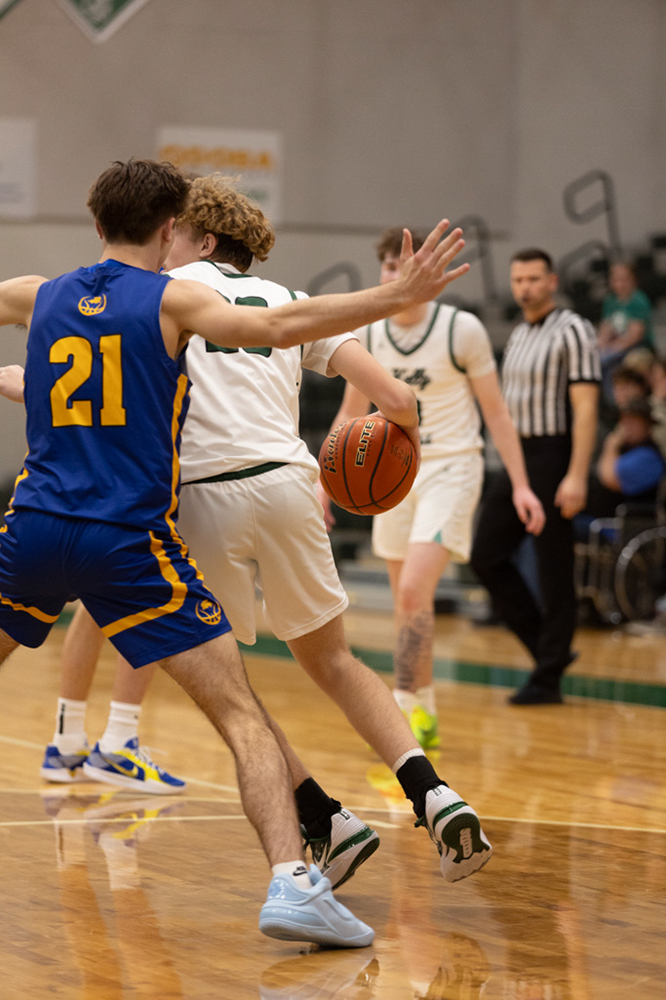 %_tempFileName1M6A7337%