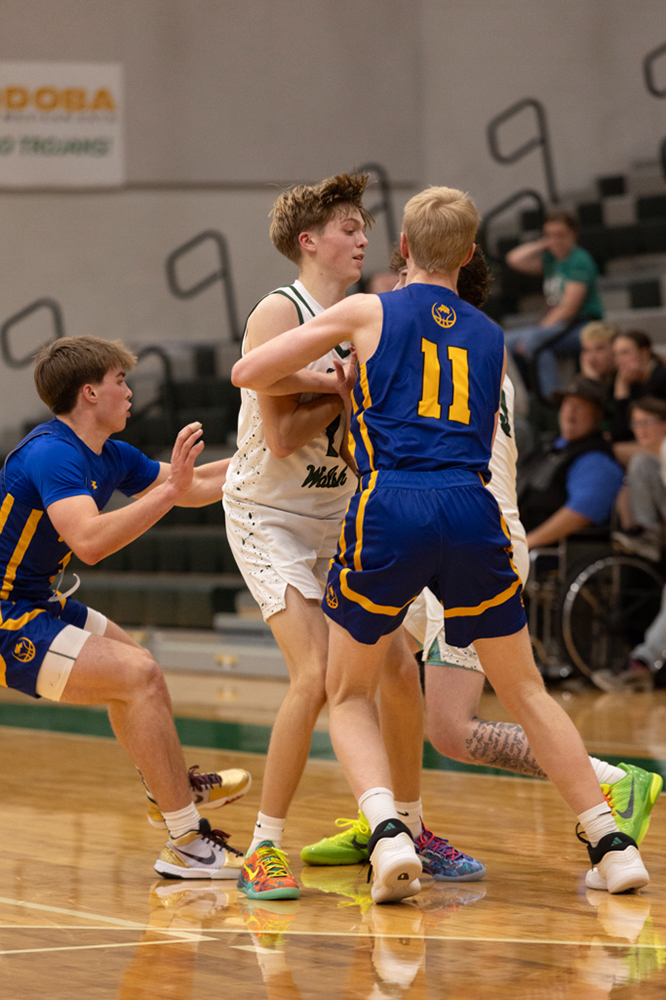 %_tempFileName1M6A7546%