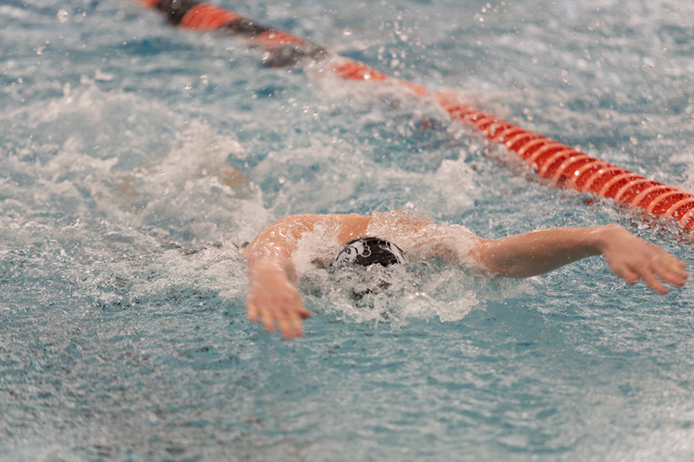 %_tempFileName1M6A6419%