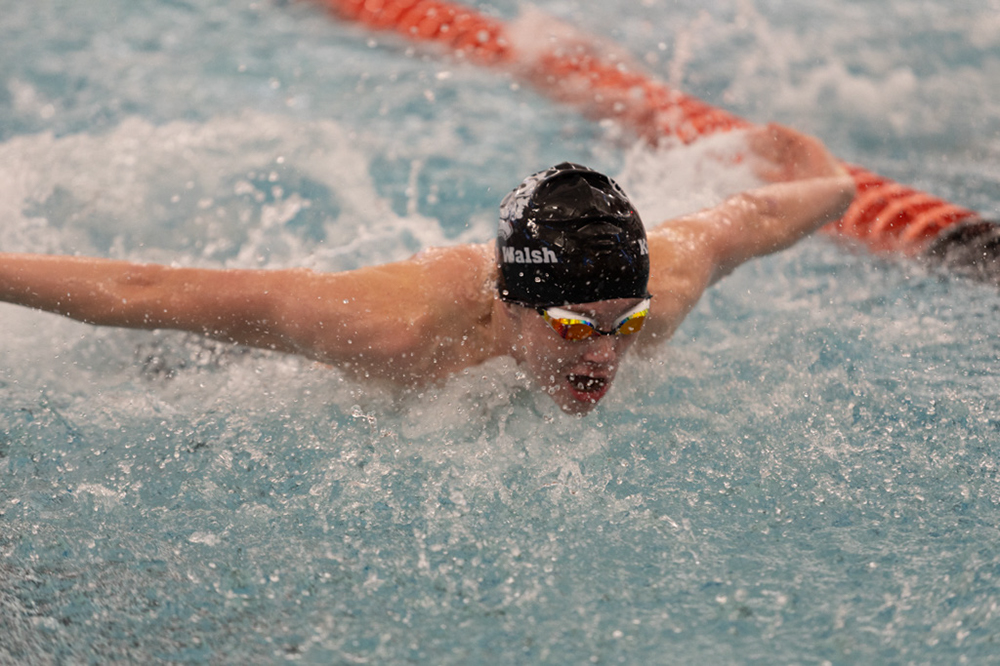 %_tempFileName1M6A6426%