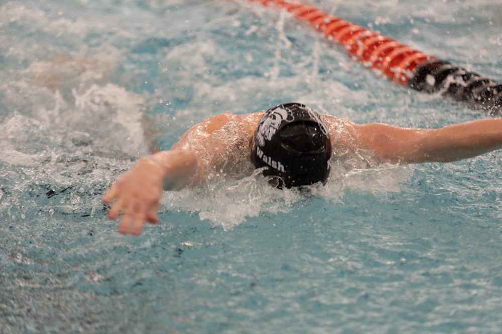 %_tempFileName1M6A6429%