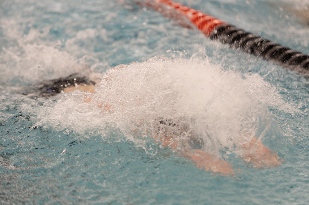 %_tempFileName1M6A6431%