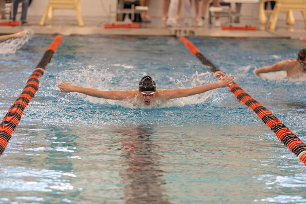 %_tempFileName1M6A6433%