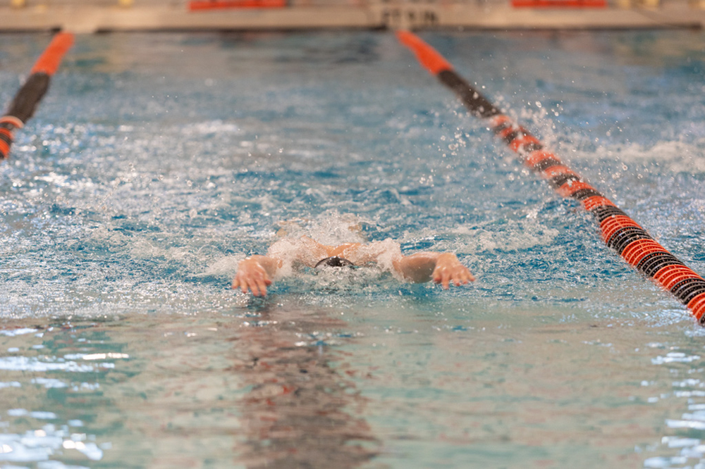 %_tempFileName1M6A6441%