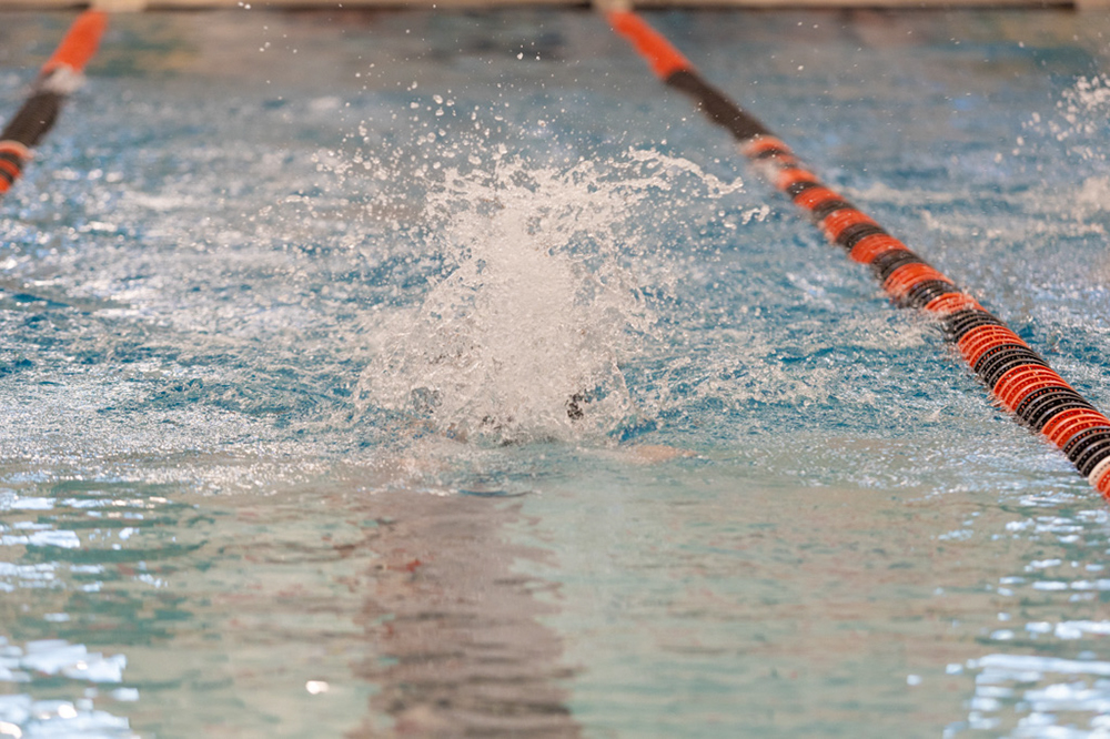 %_tempFileName1M6A6445%