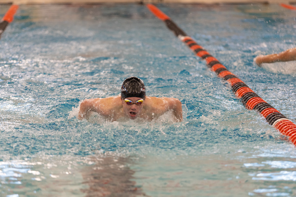 %_tempFileName1M6A6446%