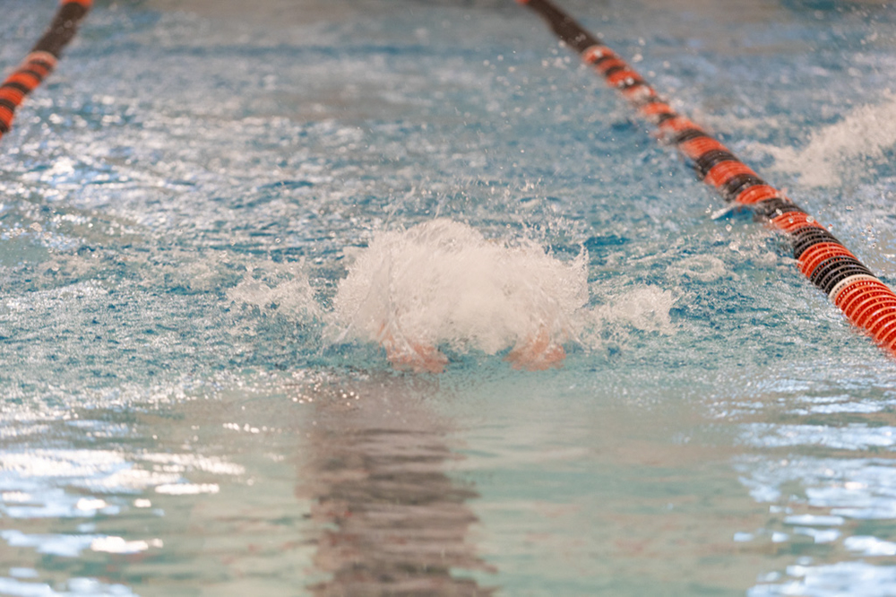 %_tempFileName1M6A6453%