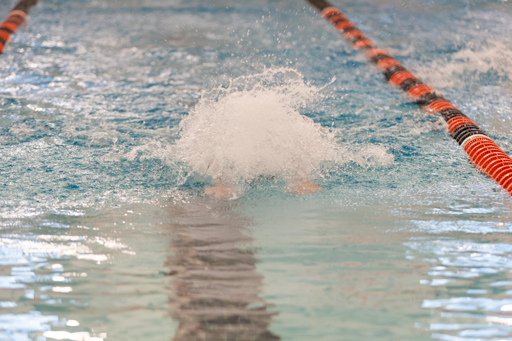 %_tempFileName1M6A6454%