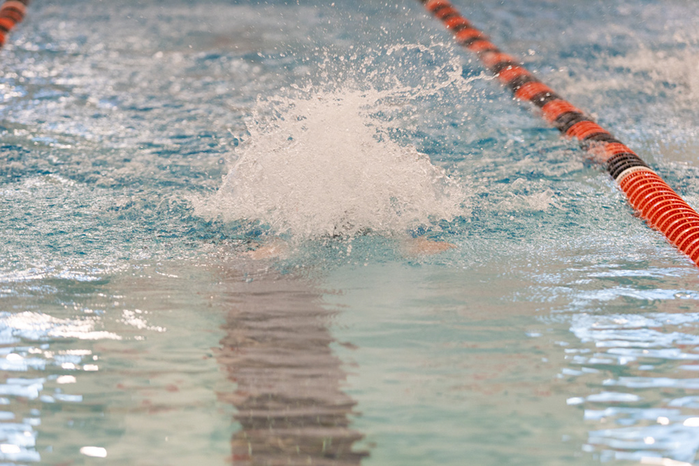 %_tempFileName1M6A6455%