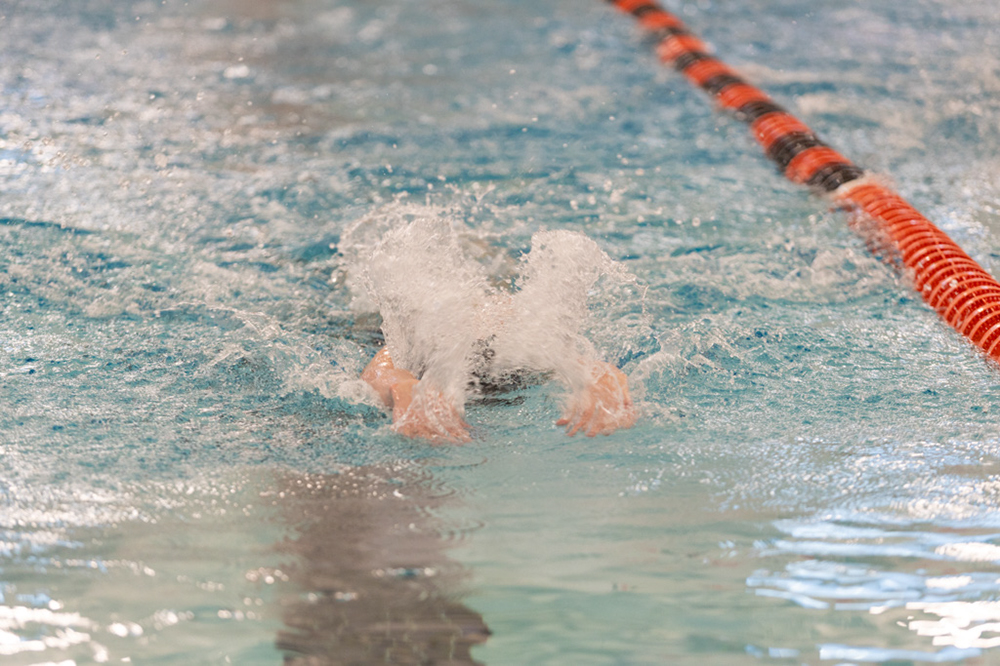 %_tempFileName1M6A6463%