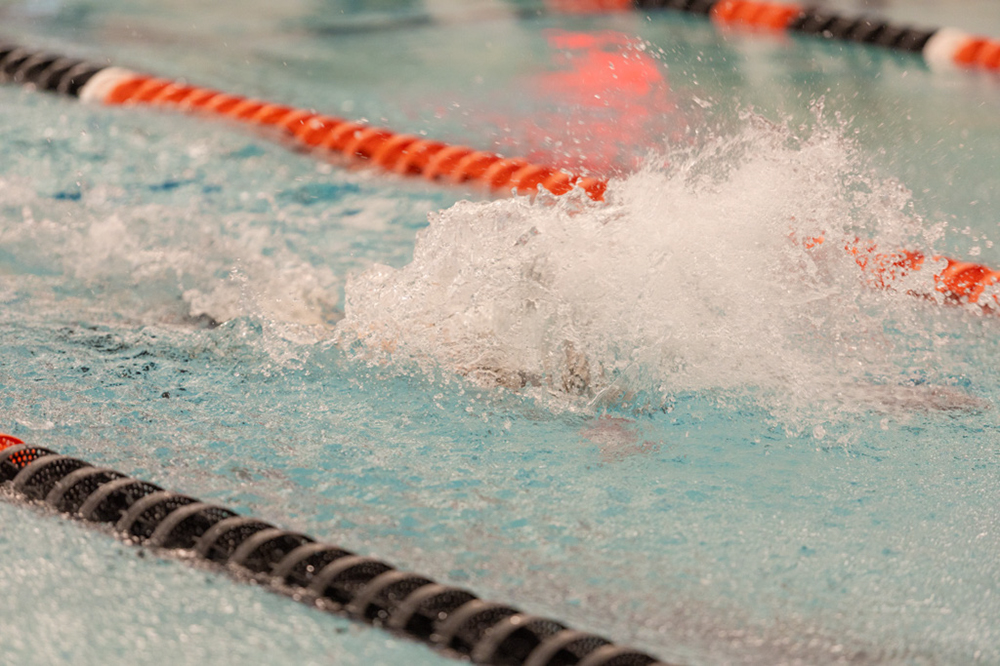 %_tempFileName1M6A6482%