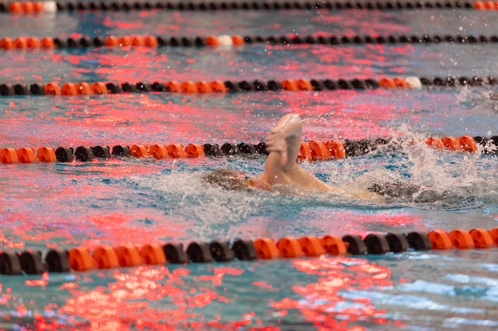 %_tempFileName1M6A6488%