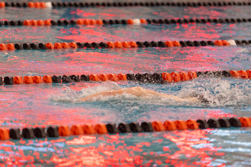 %_tempFileName1M6A6490%