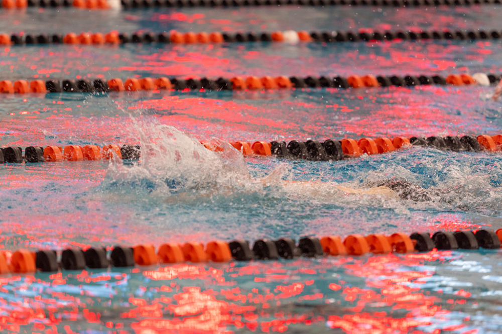 %_tempFileName1M6A6491%